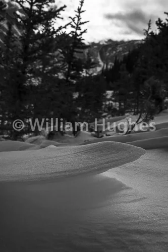 20170201-Mummy Range Sunrise-2093
