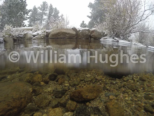 20161006-Fall RMNP Underwater-202