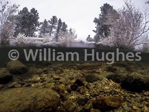 20161006-Fall RMNP Underwater-344