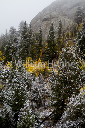 20161006-First Snow-007