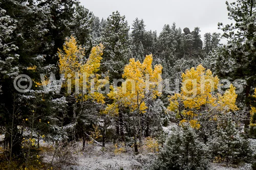 20161006-First Snow-009