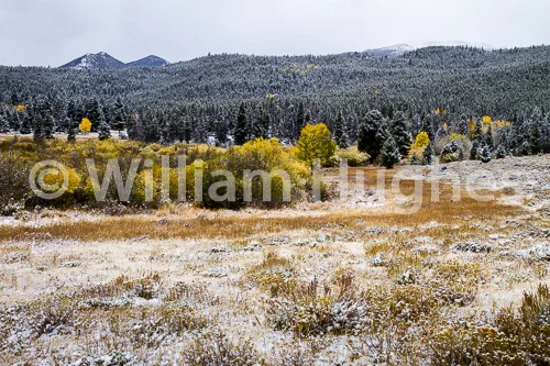 20161006-First Snow-273