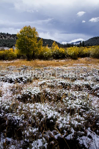 20161006-First Snow-276