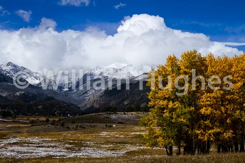 20161006-First Snow-310