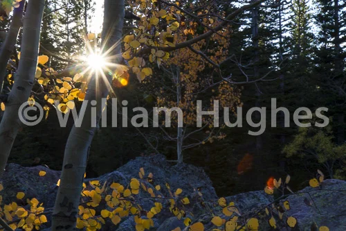 20160929-Autum RMNP-102
