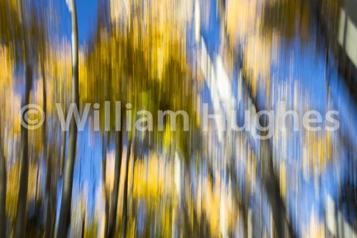 20160929-Autum RMNP-126