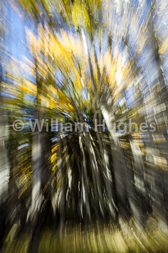 20160929-Autum RMNP-144