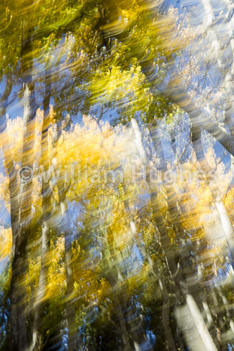 20160929-Autum RMNP-187