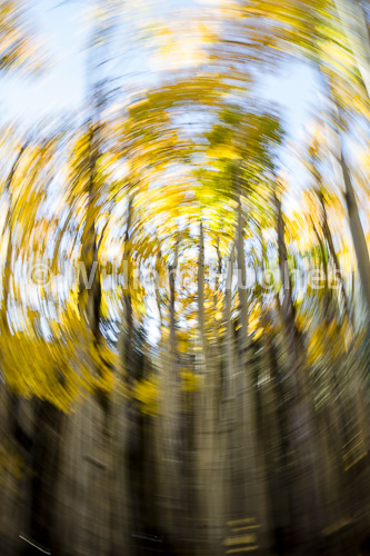 20160929-Autum RMNP-216