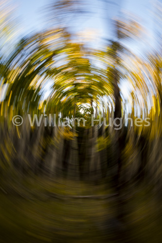 20160929-Autum RMNP-233