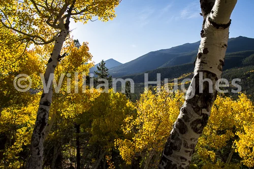 20160929-Autum RMNP-277