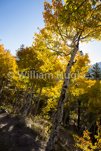 20160929-Autum RMNP-279