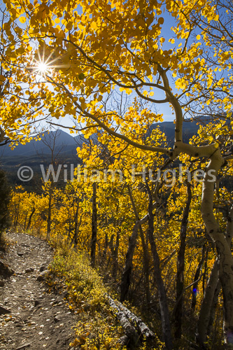 20160929-Autum RMNP-303