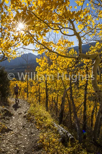 20160929-Autum RMNP-305