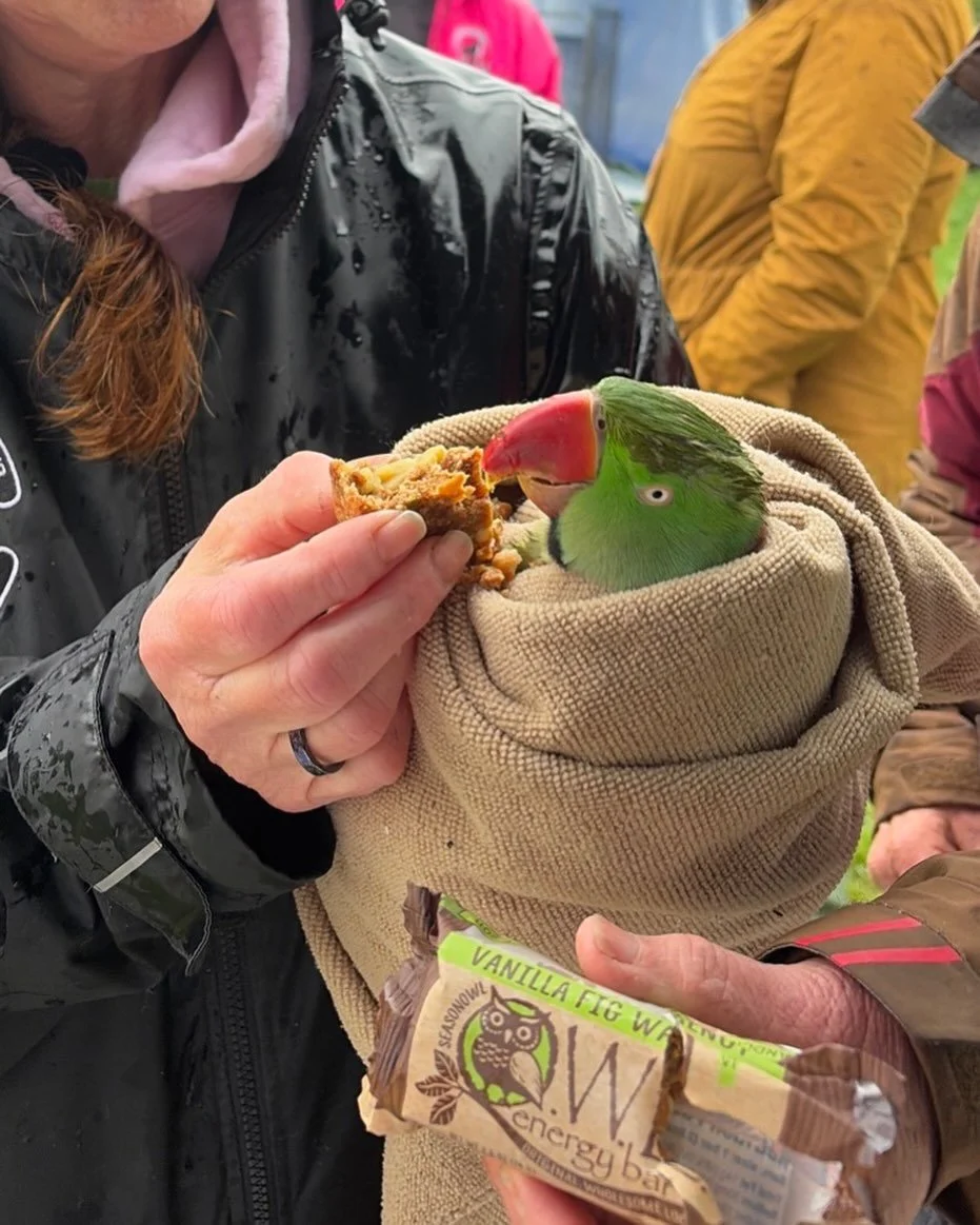 You can&rsquo;t make this stuff up! On a recent trip to Pennsylvania a parrot took refuge under our car. After hours of coaxing it out, the parrot was wrapped in a warm towel and hand fed you guessed it&hellip;OWL bars! It was rescued by the local an