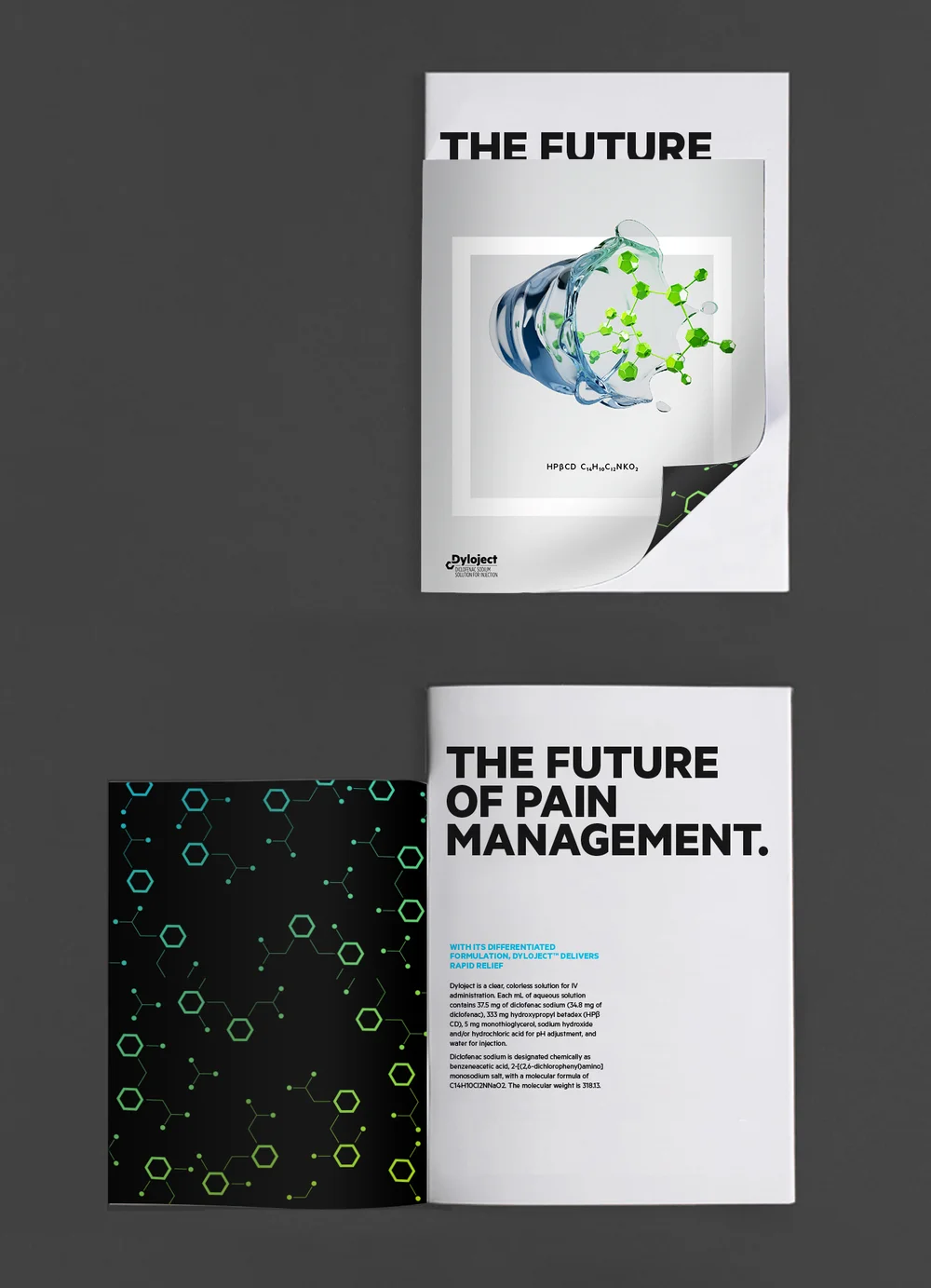 121213_Dylo_exper_brochure.jpg