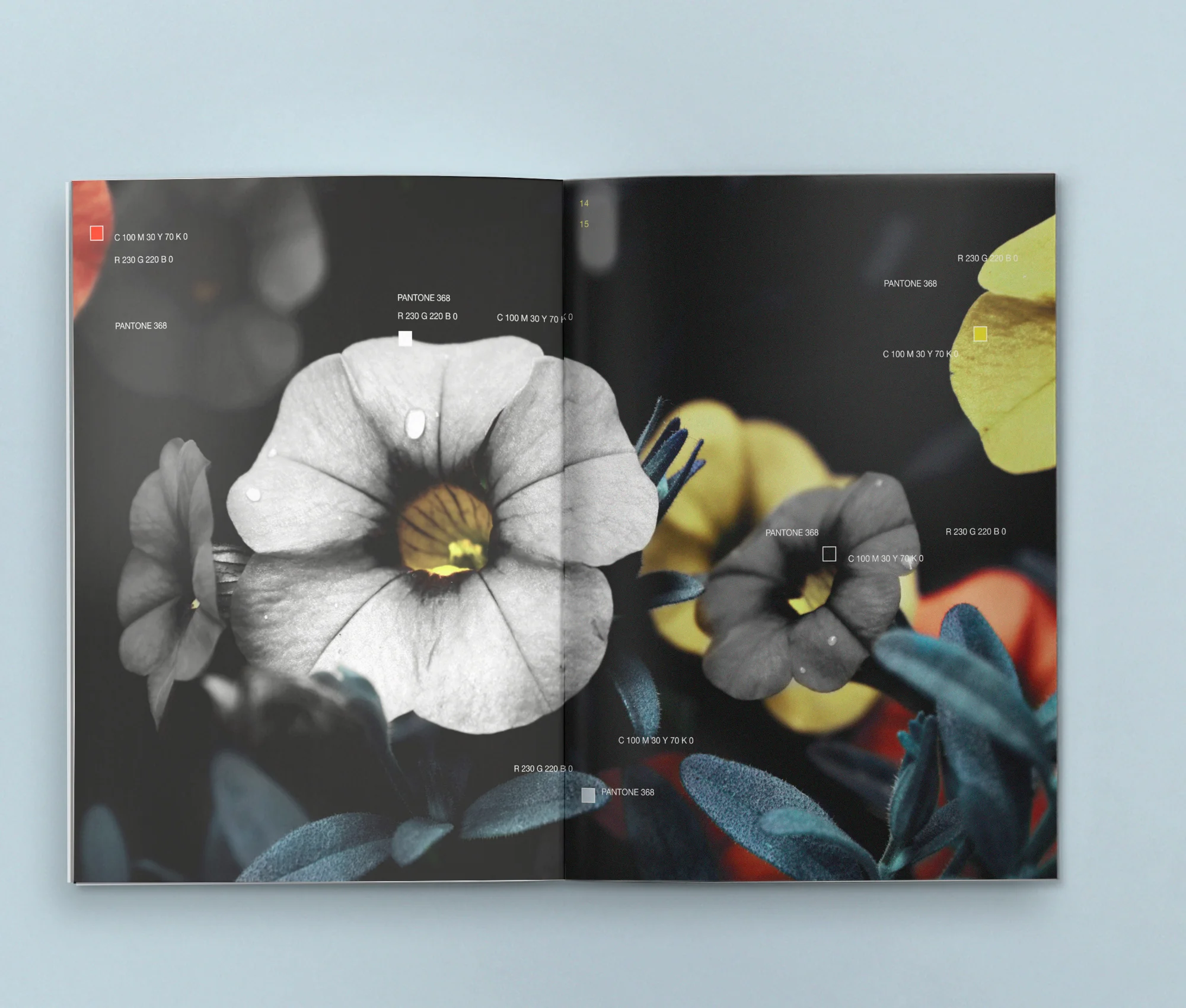 brandbook_spreads_color_01192018.jpg