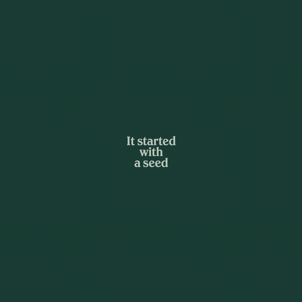 Comp_4.gif
