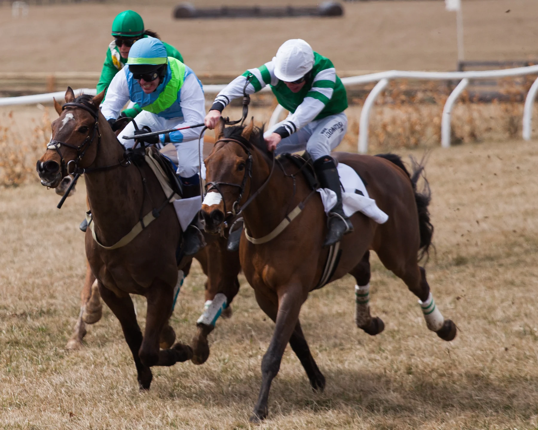 Races-3.jpg