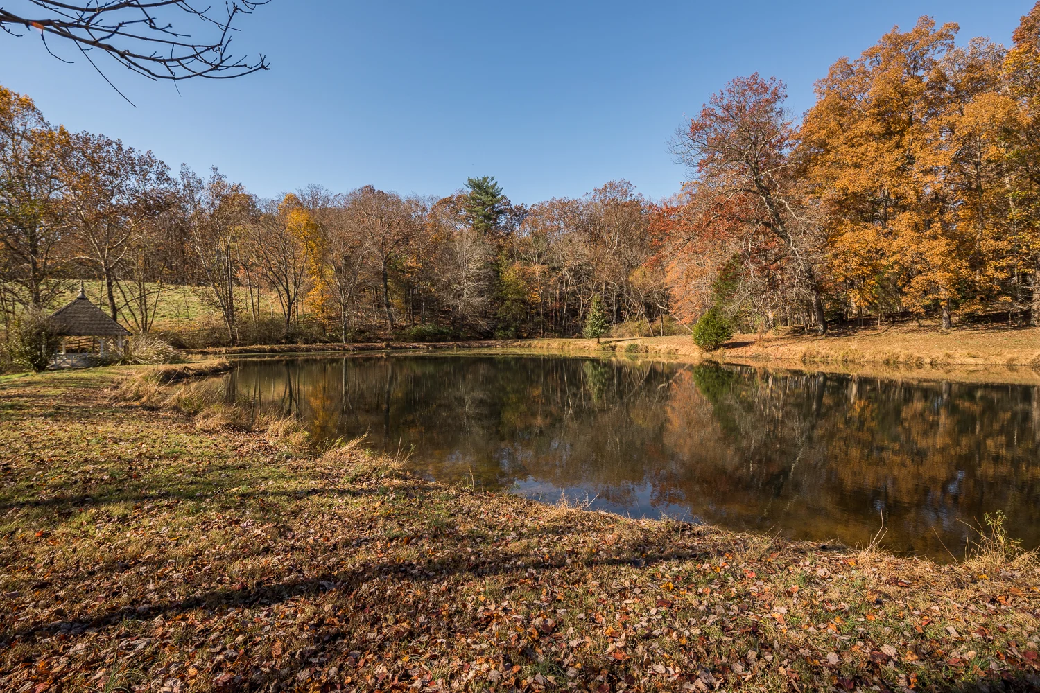 _MG_7862.jpg