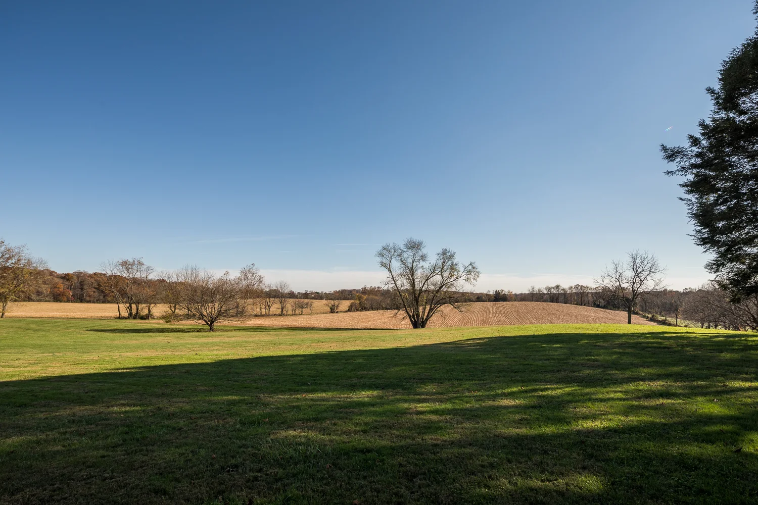 _MG_8202.jpg