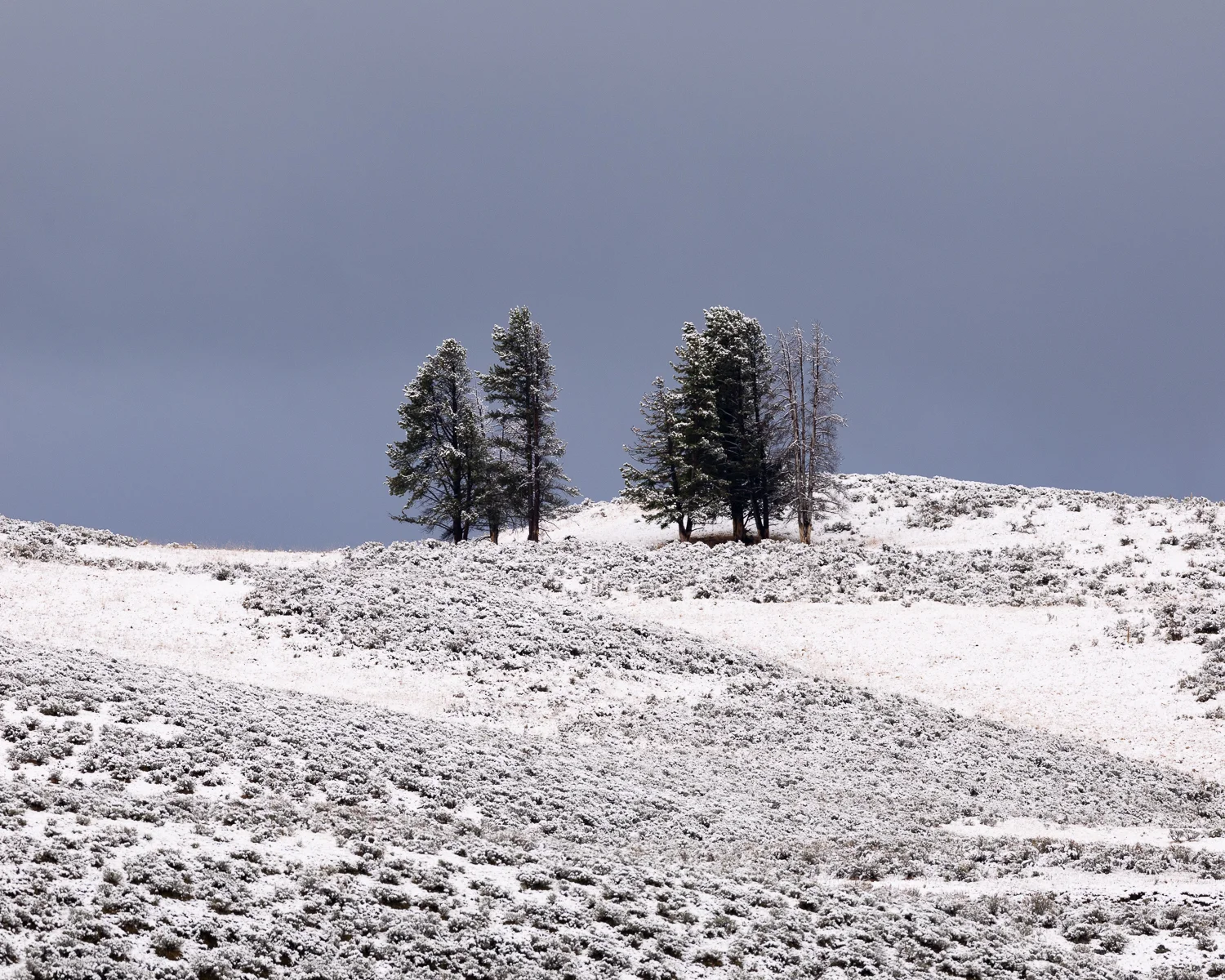 _MG_0247.jpg