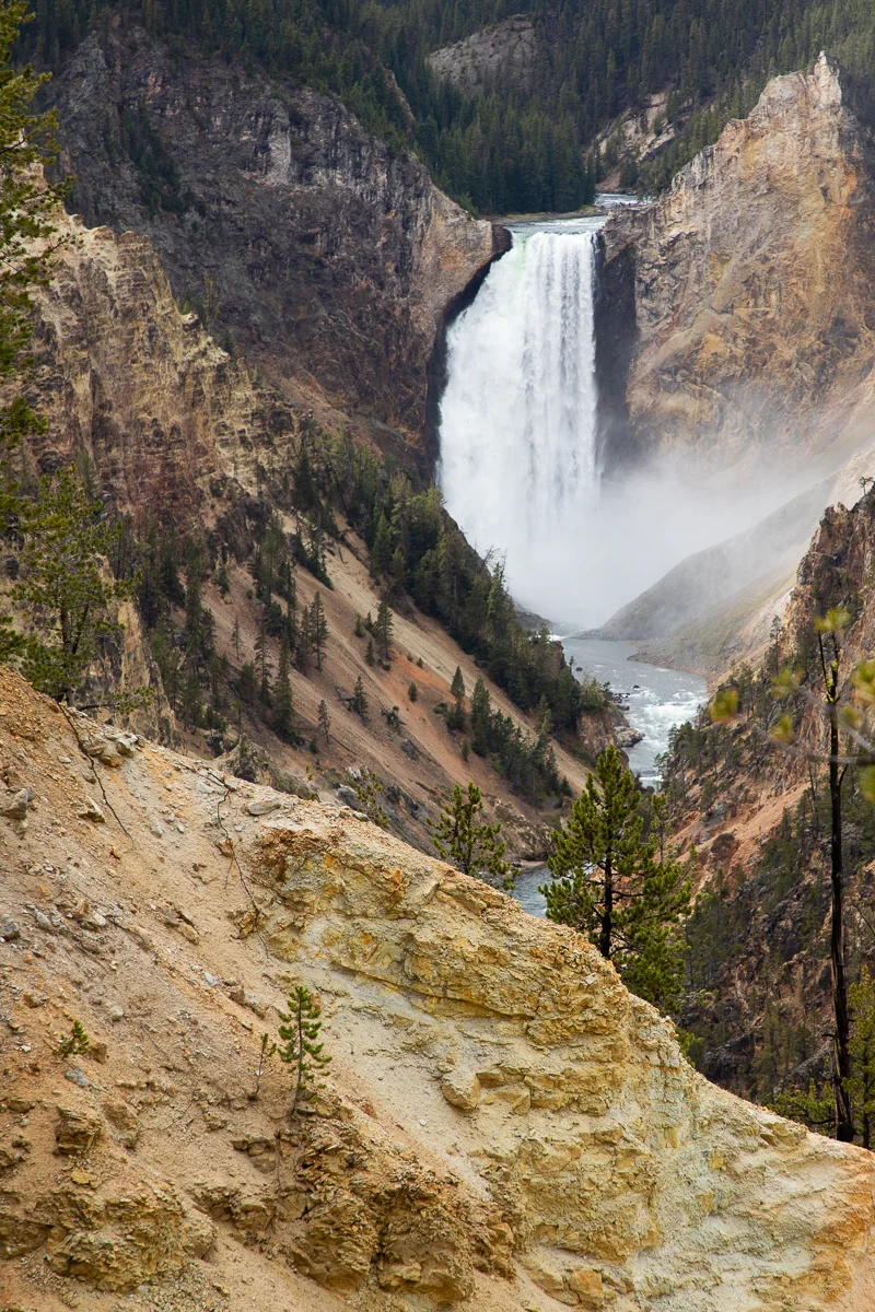 _MG_0555.jpg