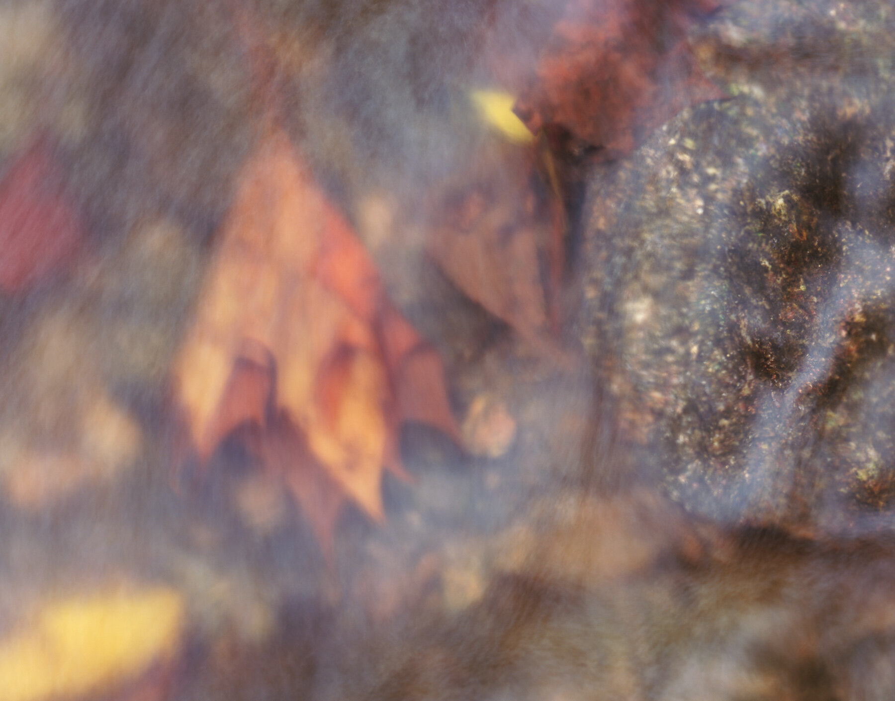 Untitled32.jpg
