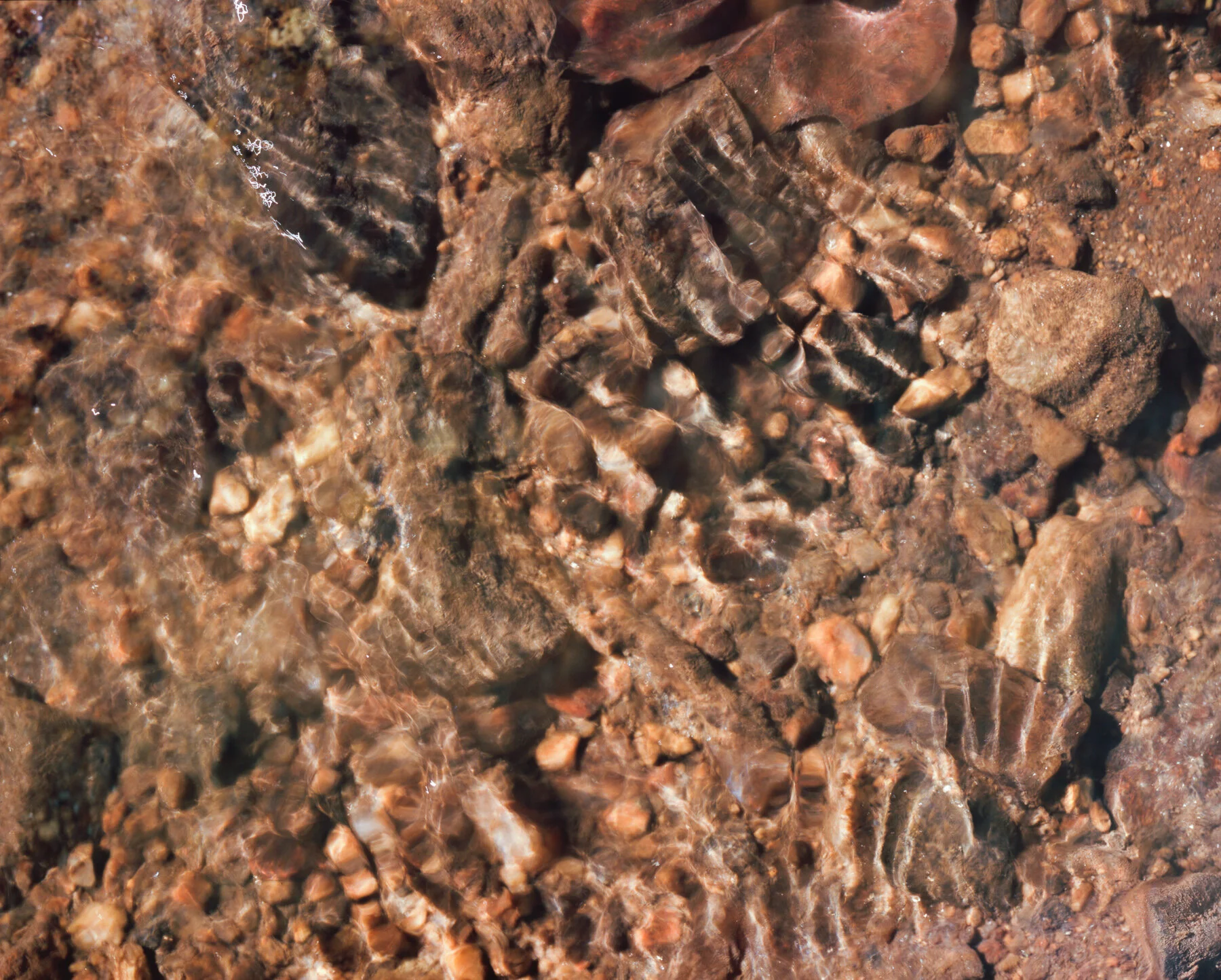 Untitled46.jpg