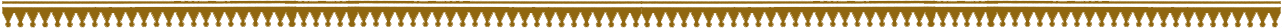 border-1.png