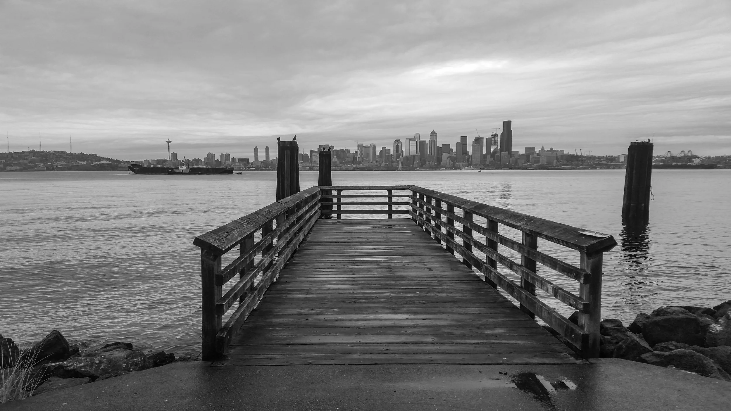20161222_Asminda_PNW_20161222_134752.jpg