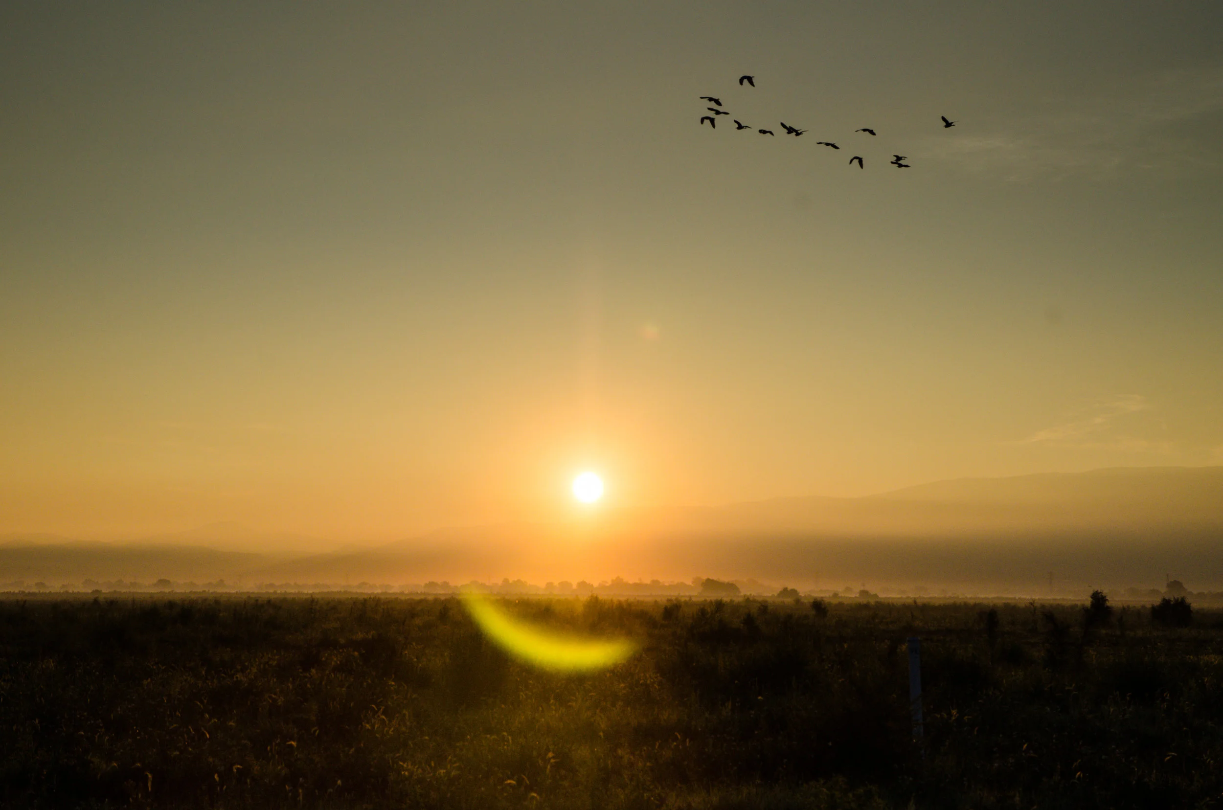 20150909_ParqueTexcoco_DSC_7701.jpg