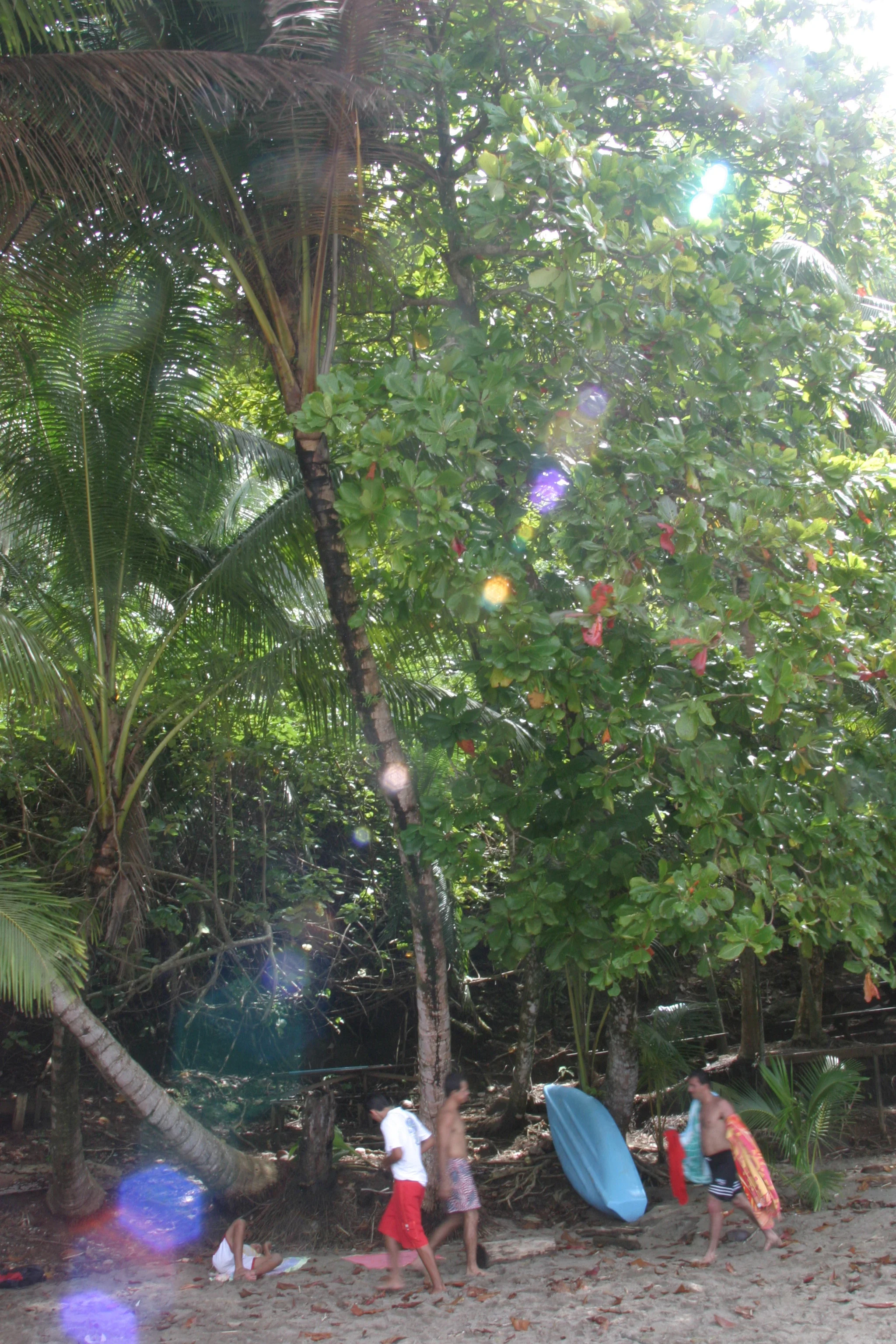 Prism, Drake Bay, Costa Rica