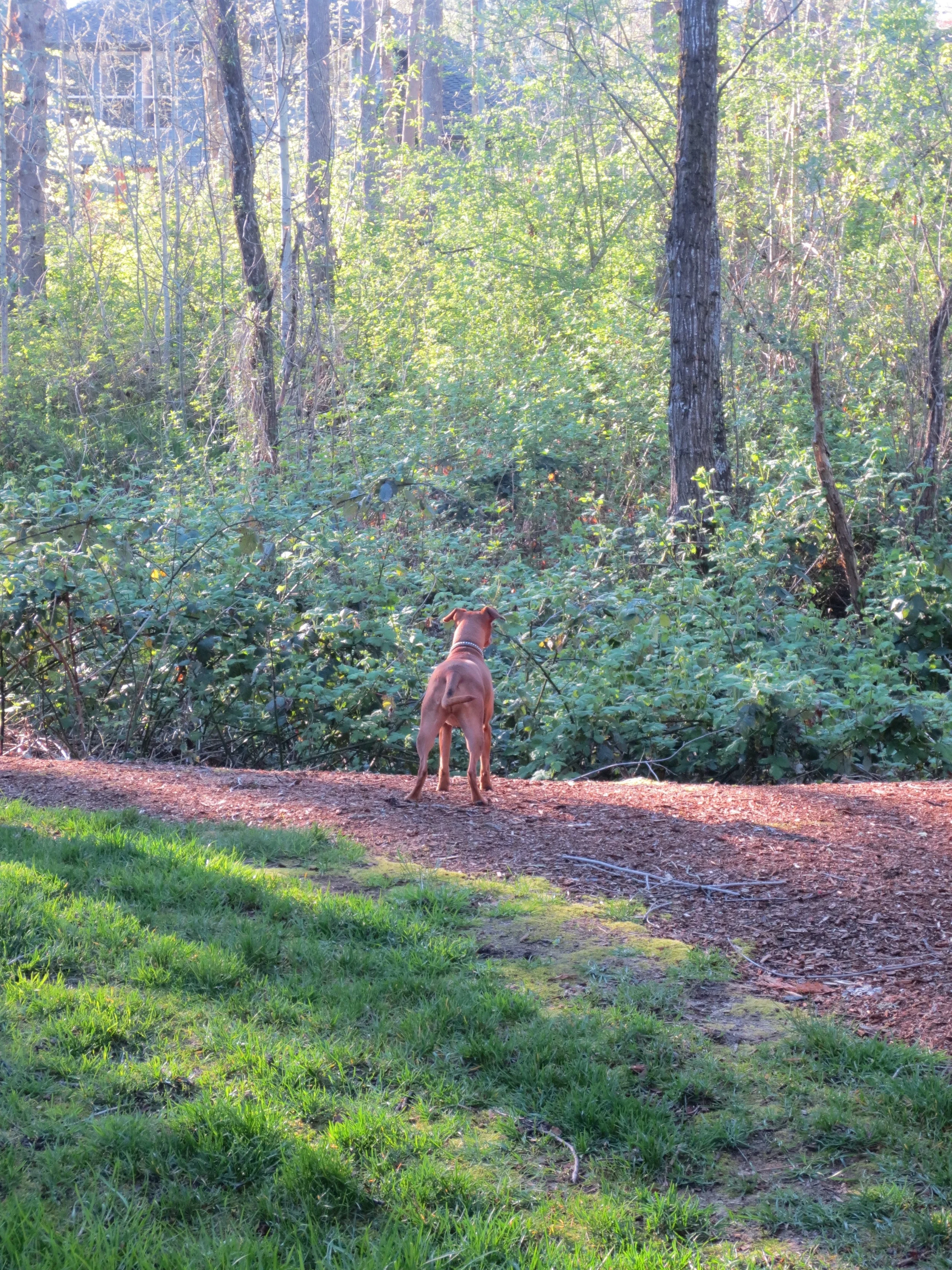 Avery loves her new natural lifestyle.