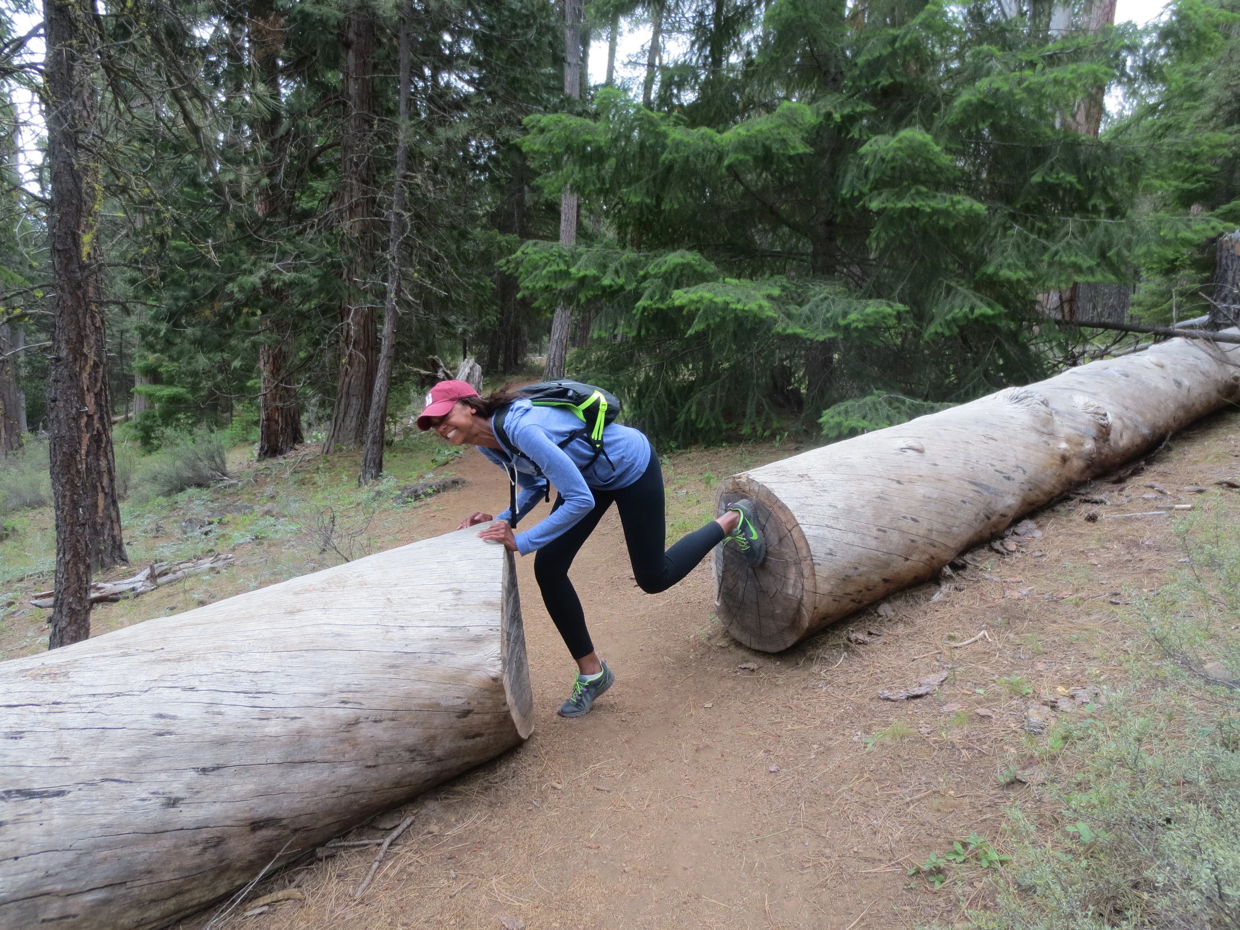 Can't be in Oregon without being a hiker. (Or a lumberjack, as I, apparently, am now, too, with my tree splitting abilities...)