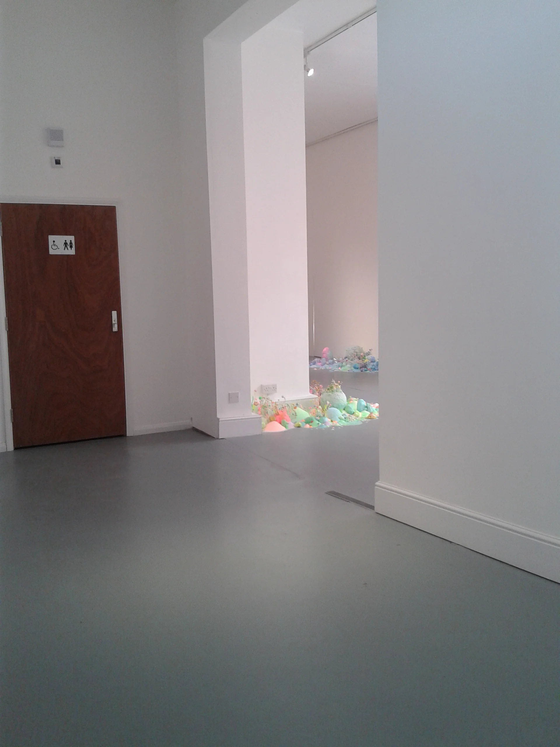 20140410_124532.jpg