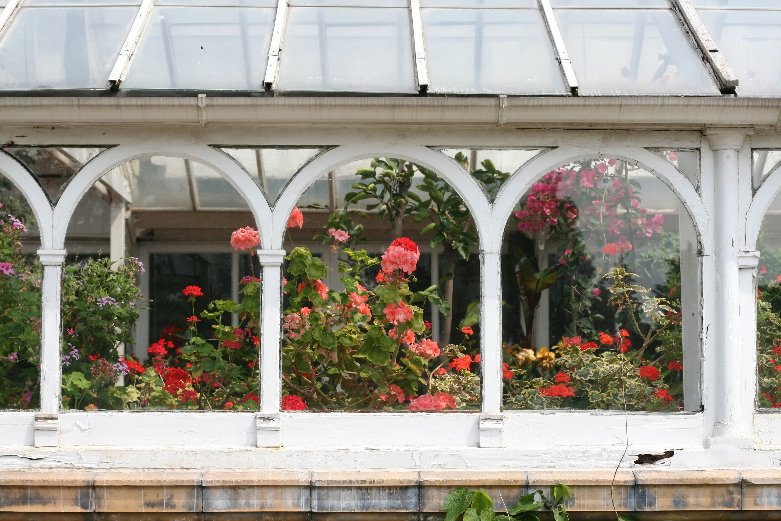 Also went to the Botanical Gardens - I just really like this photo.