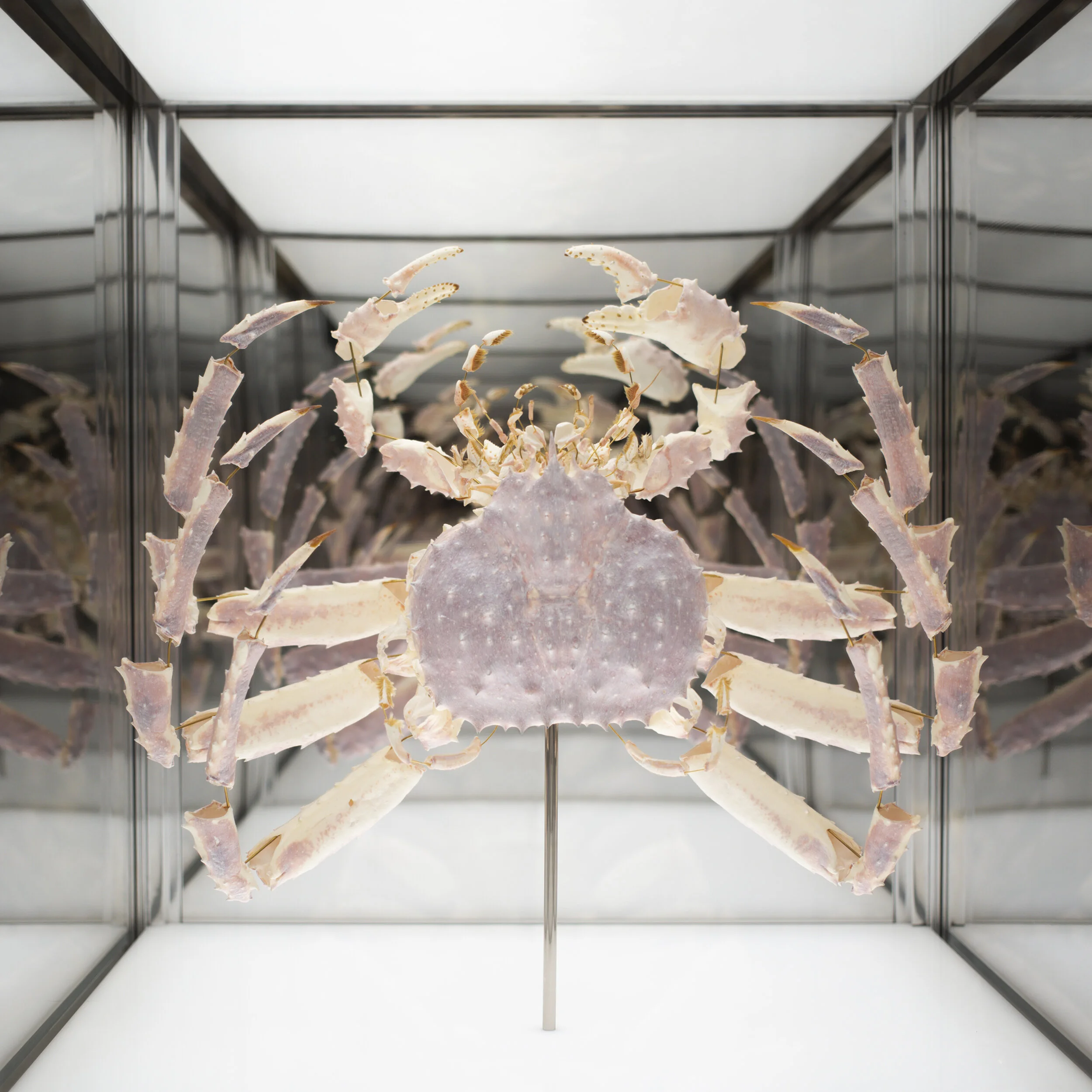 Marcus_Atelier Zebulon Perron_Olivier Blouin_HR.jpg