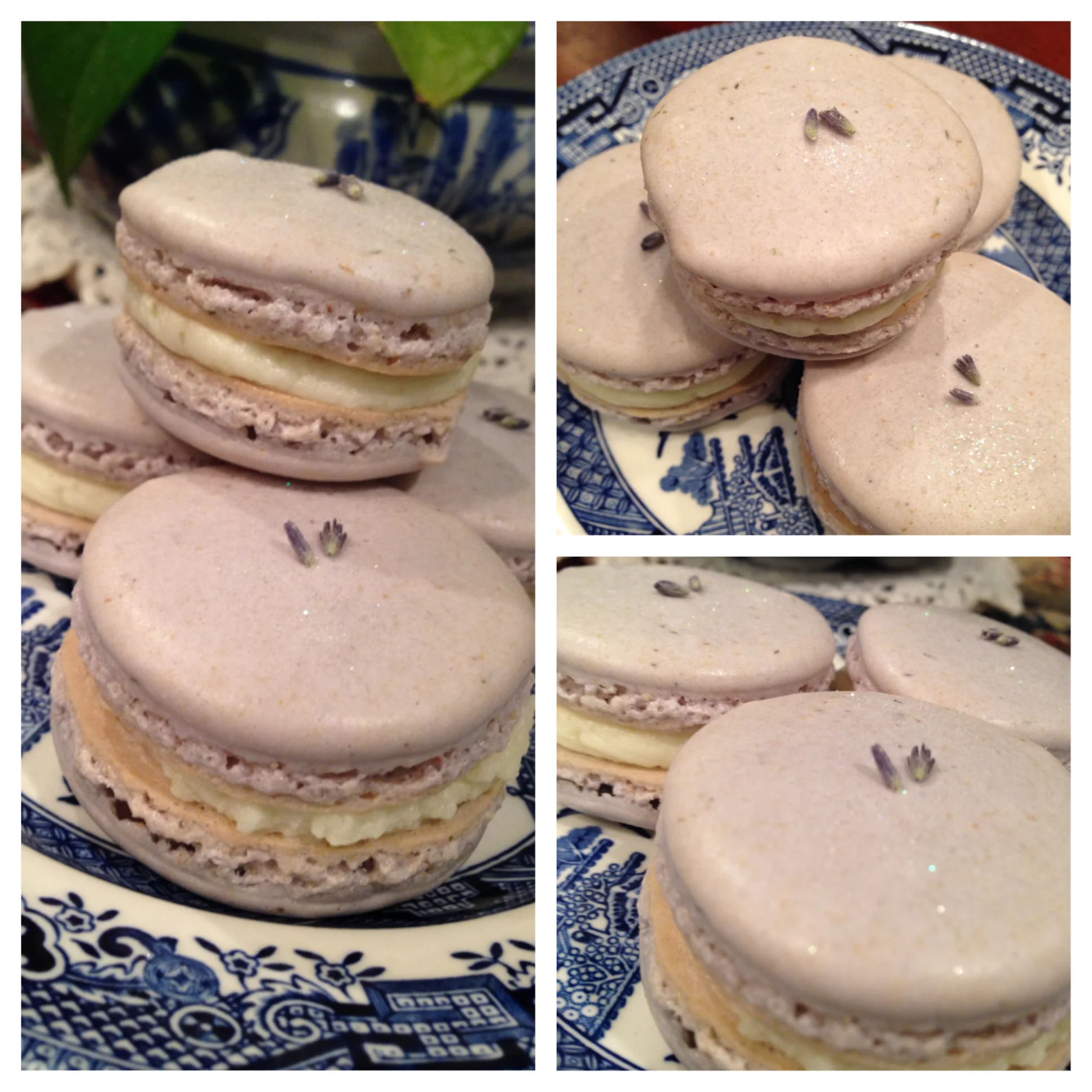 Lavender Macarons