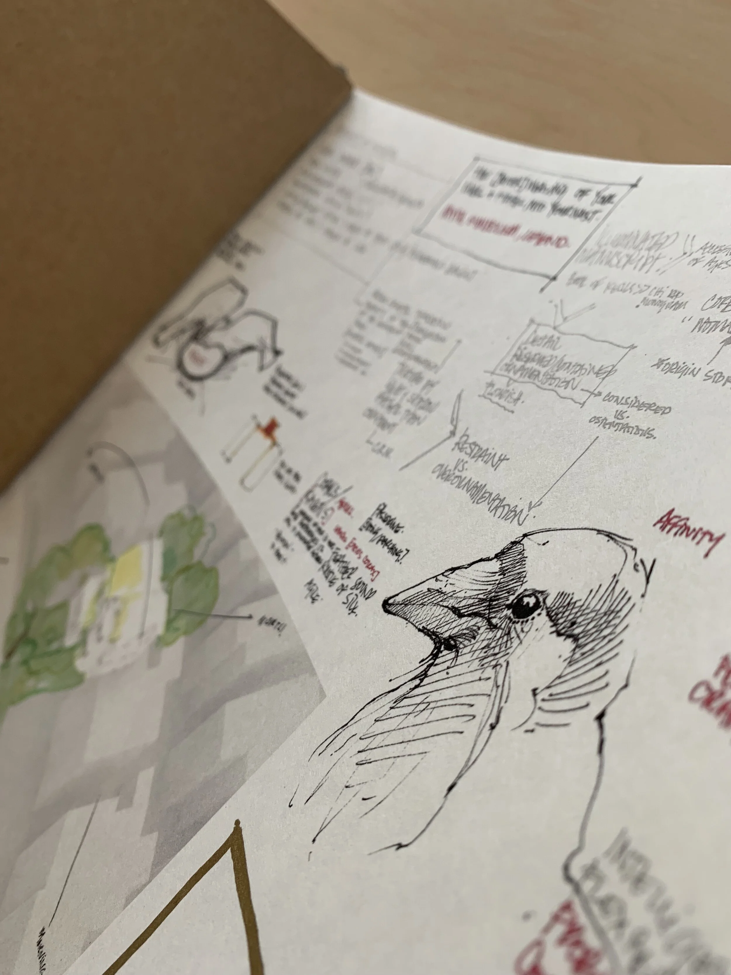 Sketches in sketchbook for inspiration of CORVUS HOUSE - RENOVATION - IN PROGRESS