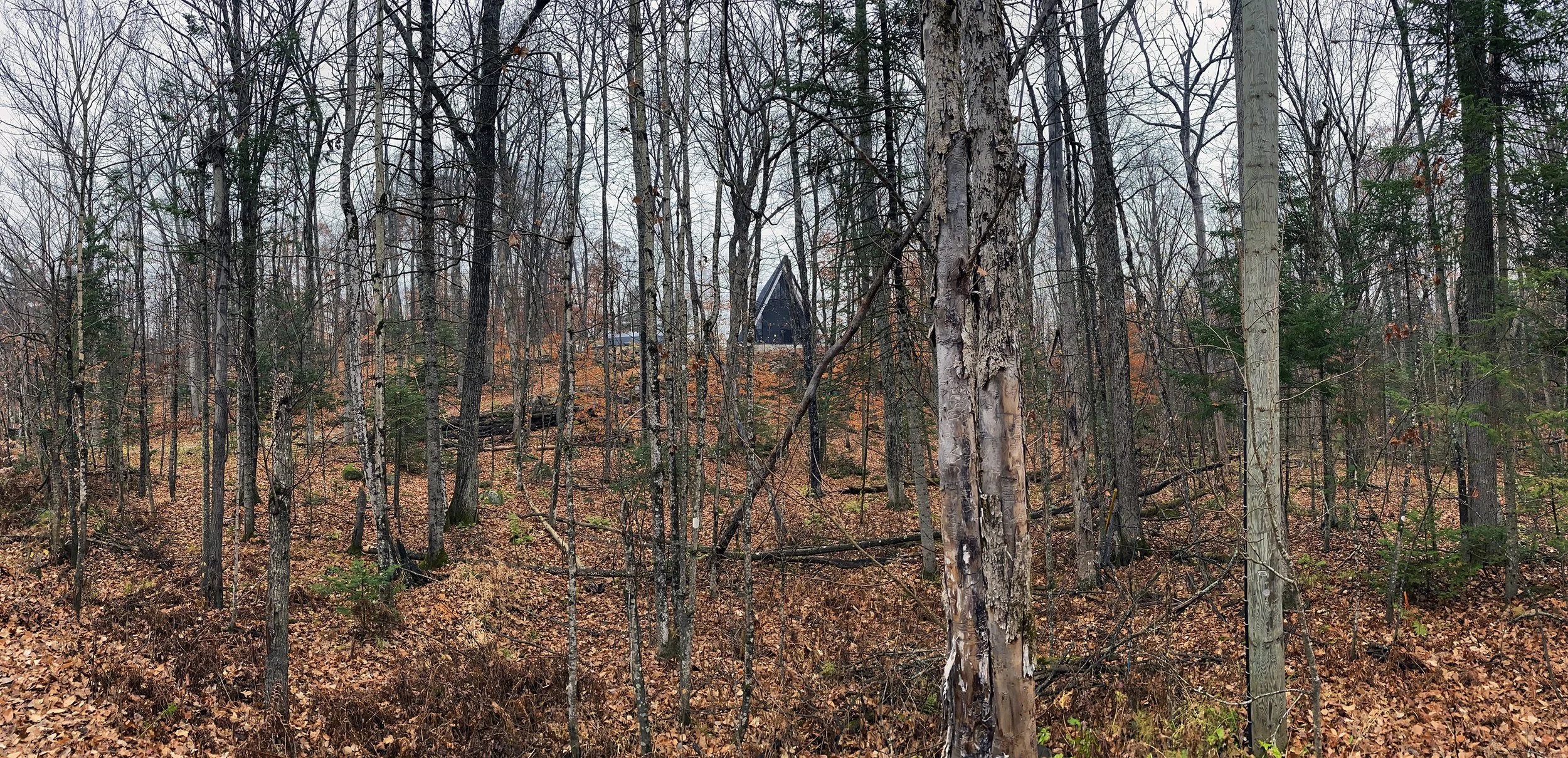 1 PLOTNONPLOT Cantley A-Frame Establishing.jpg