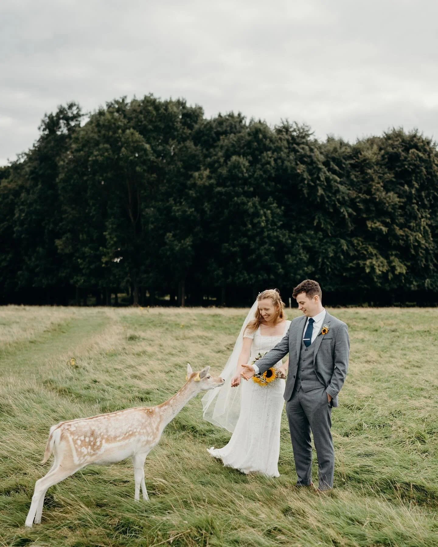 Lizzie &amp; Daniel 🌿