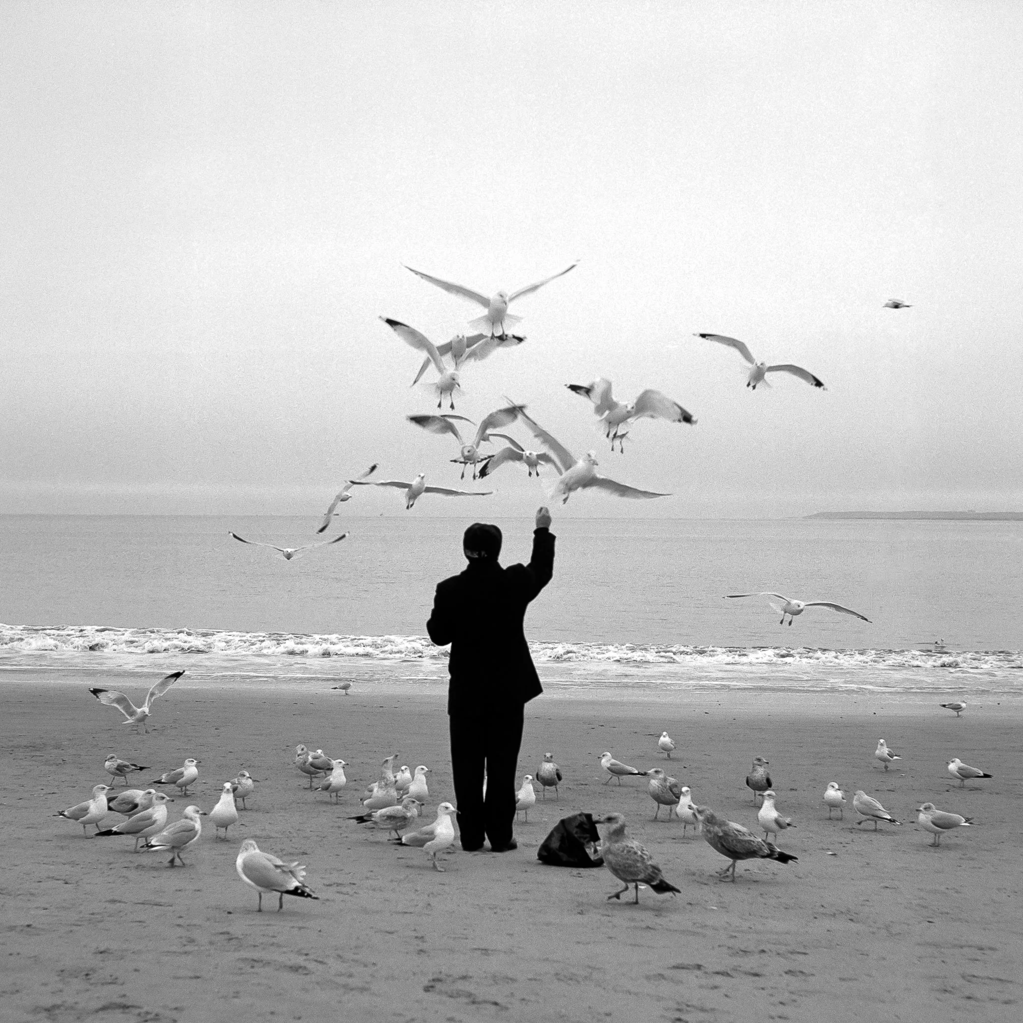 20101225-h12-m00-s00-scan-13-Edit.jpg