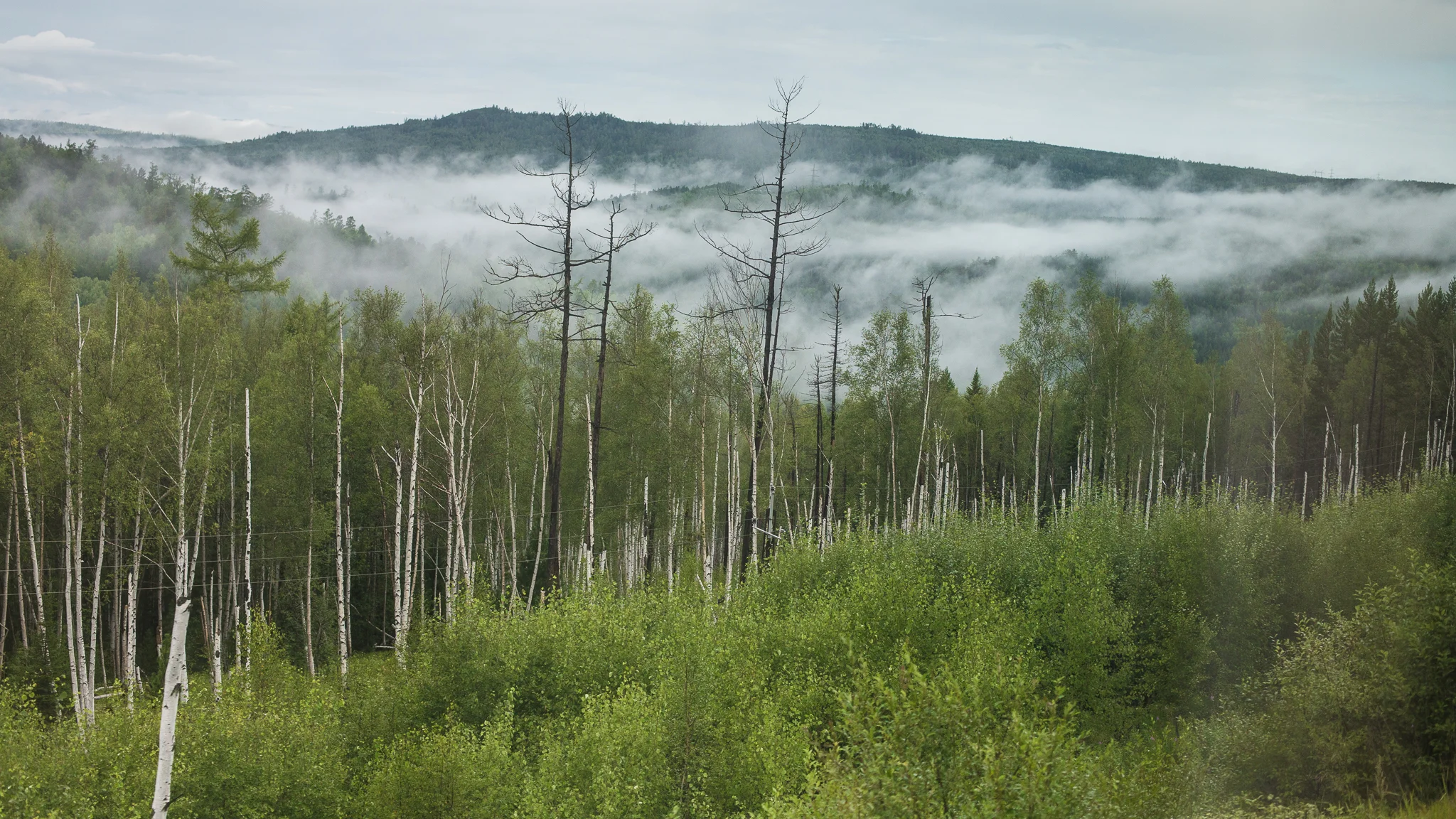 views-from-trans-siberian_011.jpg
