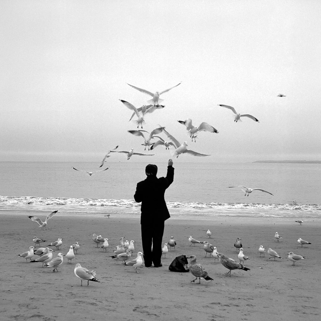 coney island bird man