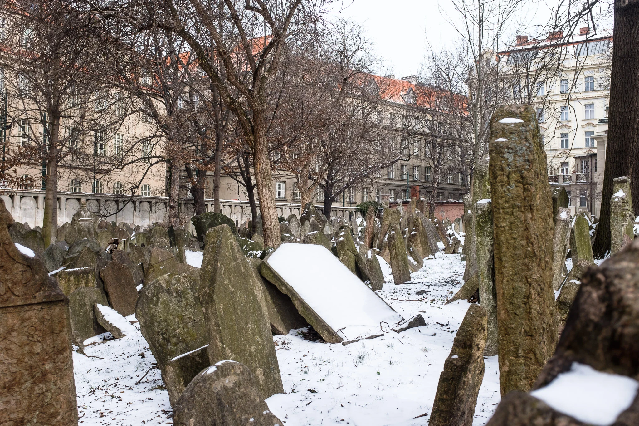 europe_016.jpg