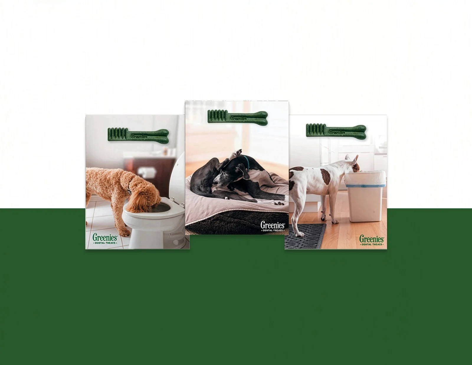 Greenies-3-bad-dogs.jpg