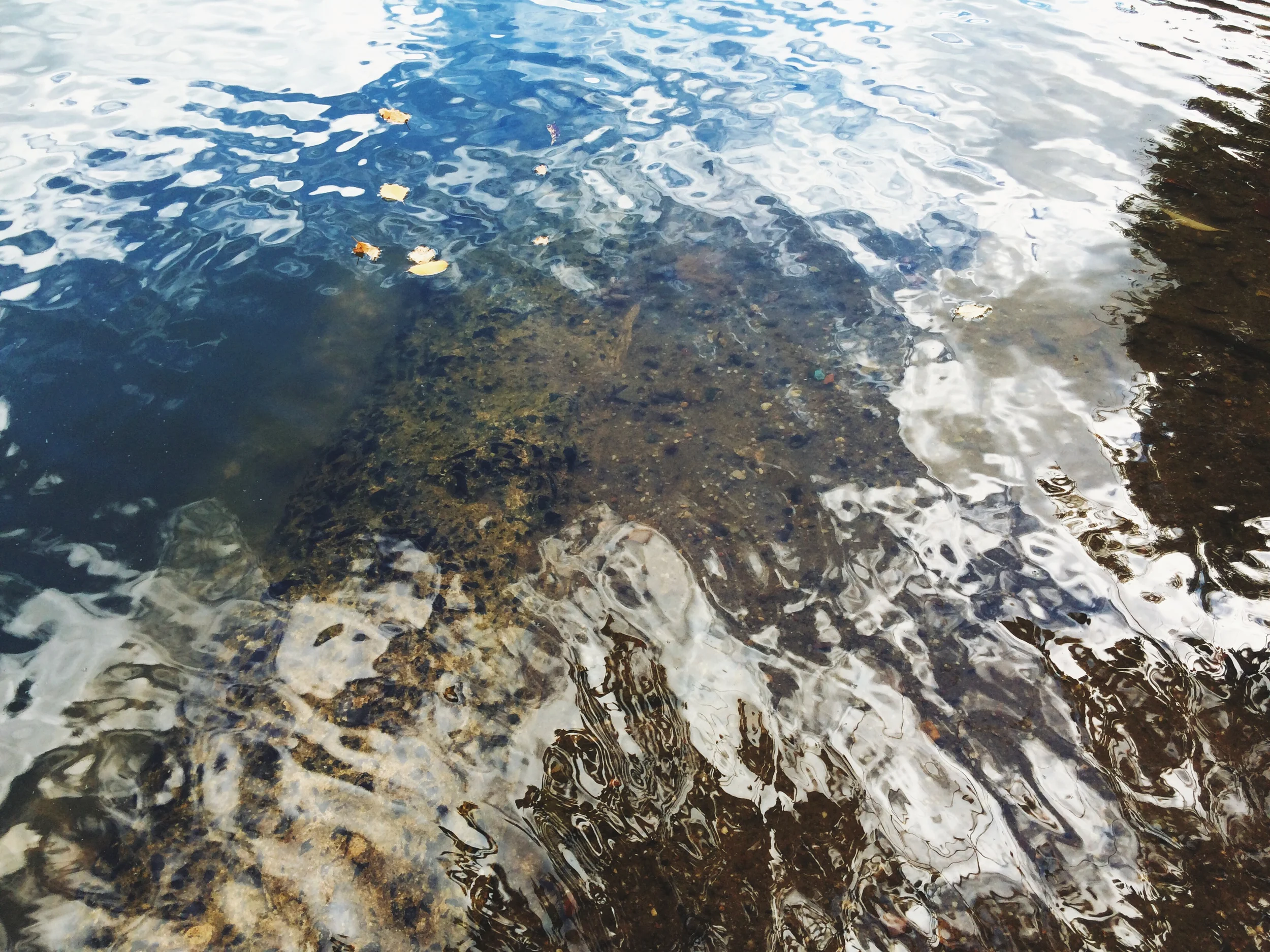 Click / tap to enlarge