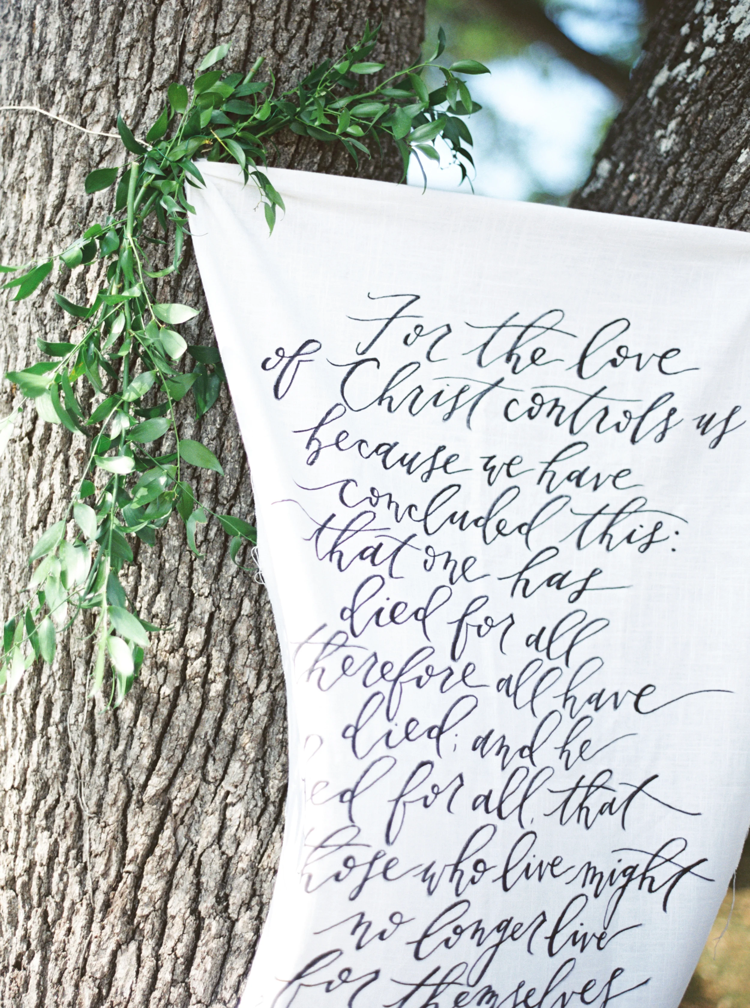 jenna mcelroy photography-166.jpg