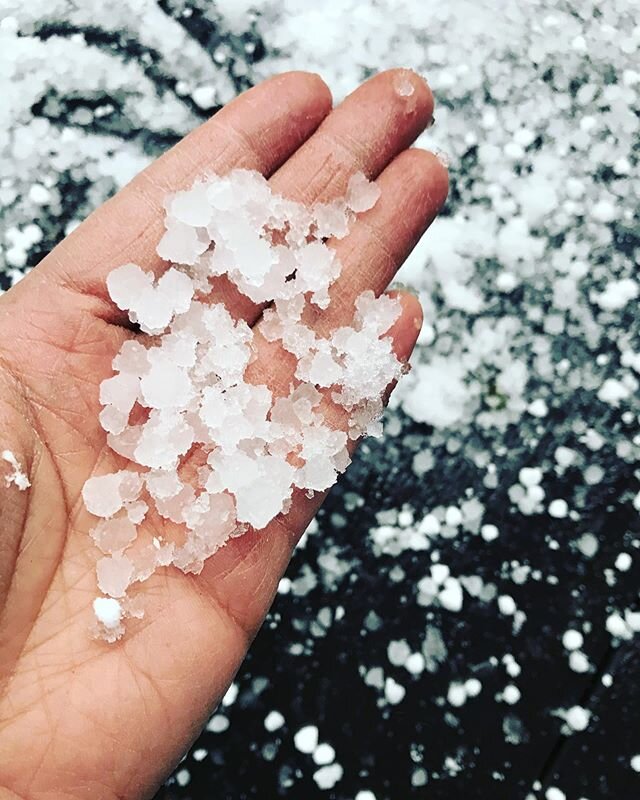 April (!)winter storm very conducive for staying home/quarantine. See more ❄️❄️❄️ in stories #california #mountainlife